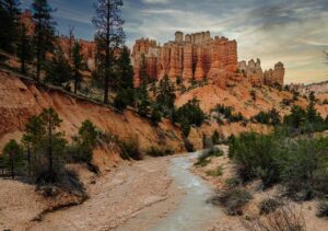 30代女性におすすめのニキビ跡化粧水、定番と新作の違いは？