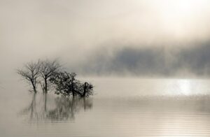 ニキビ跡の赤みを改善する無香料ミスト化粧水の口コミは？