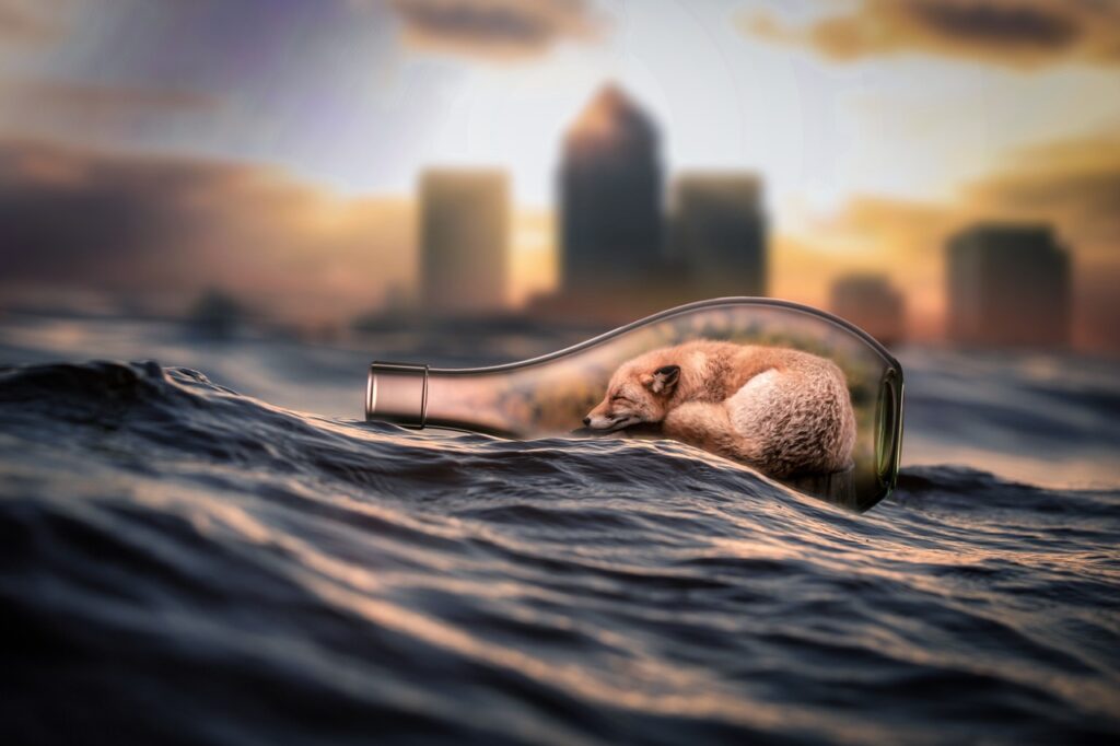 NOVのニキビ跡に効果的な色素沈着対策ローションの成分は？