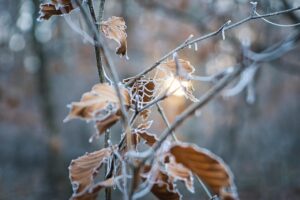 冬の乾燥対策に最適なニキビ跡とくすみ改善におすすめのローションは？