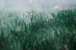 ニキビ跡とくすみに効果的な高保湿ミスト化粧水の選び方は？